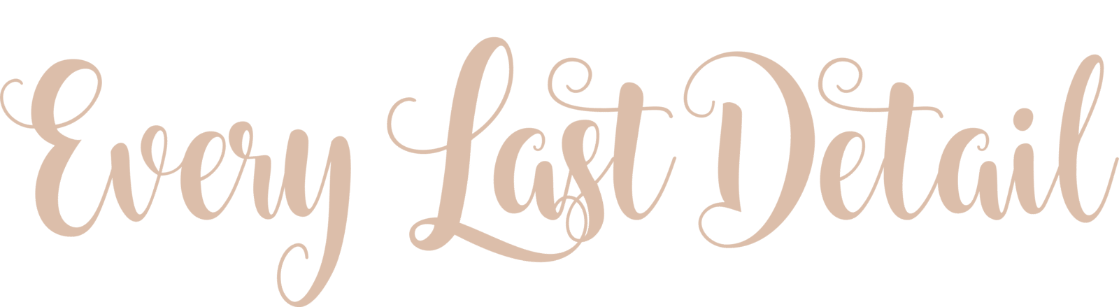 Every Last Detail